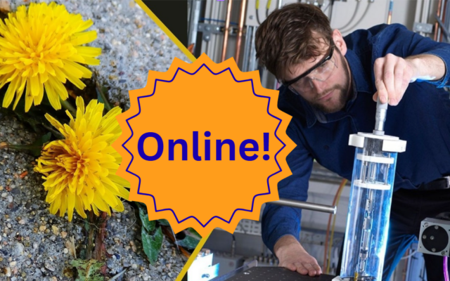 Yellow dandelions growing in the pavement, an orange badge that says 'online!' and a person conducting an experiment